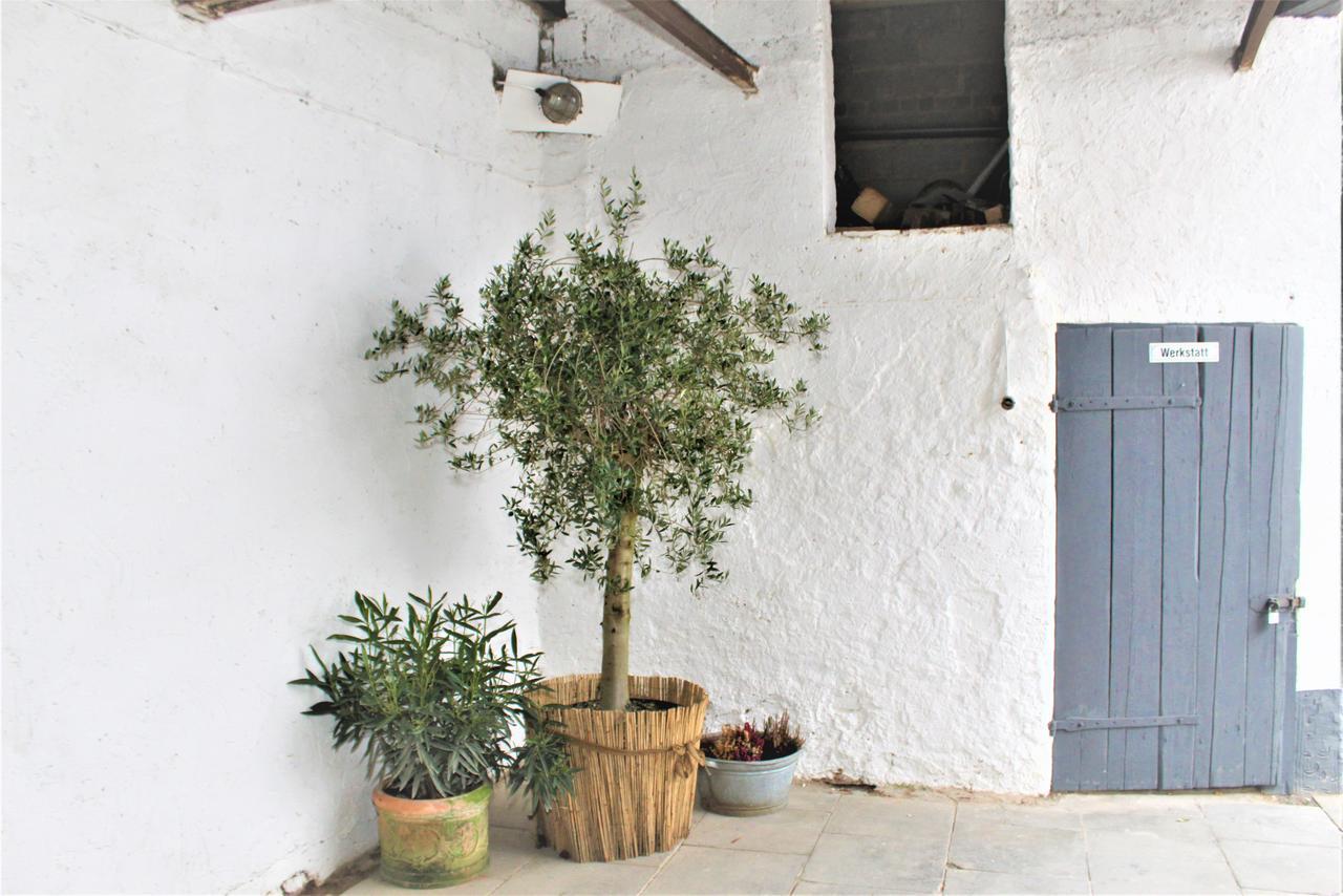 Wunderschoene Ferienwohnung Bruchhausen  Exterior foto